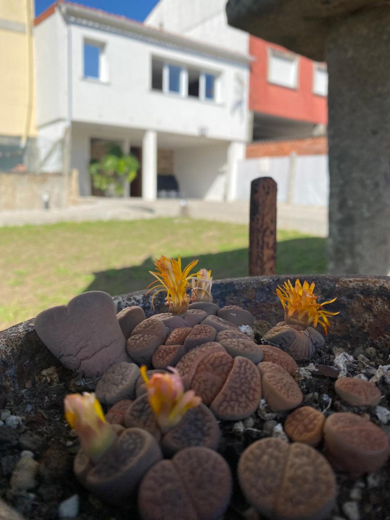 Casa Do Campo Lestrove Vila Padrón Exterior foto